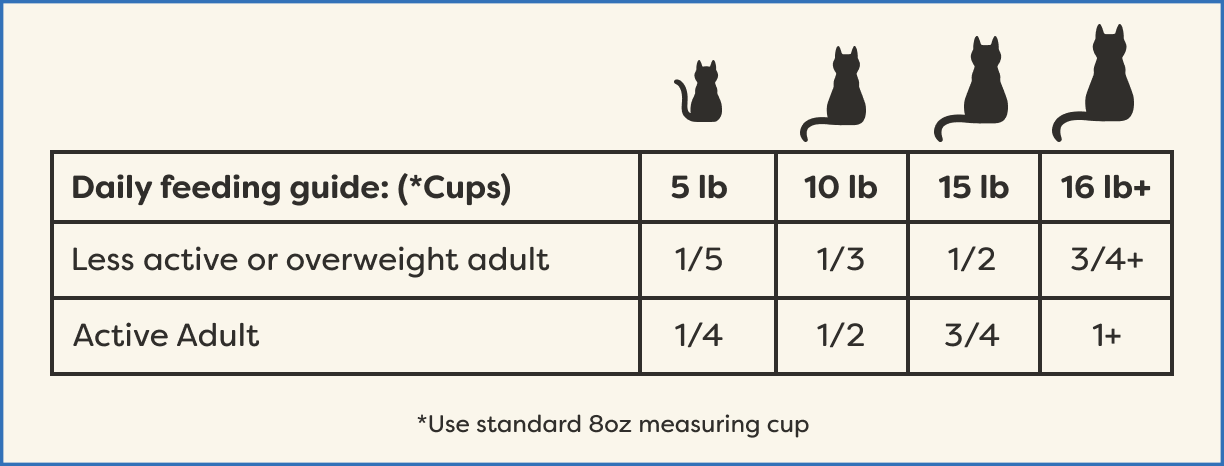 Feeding guide