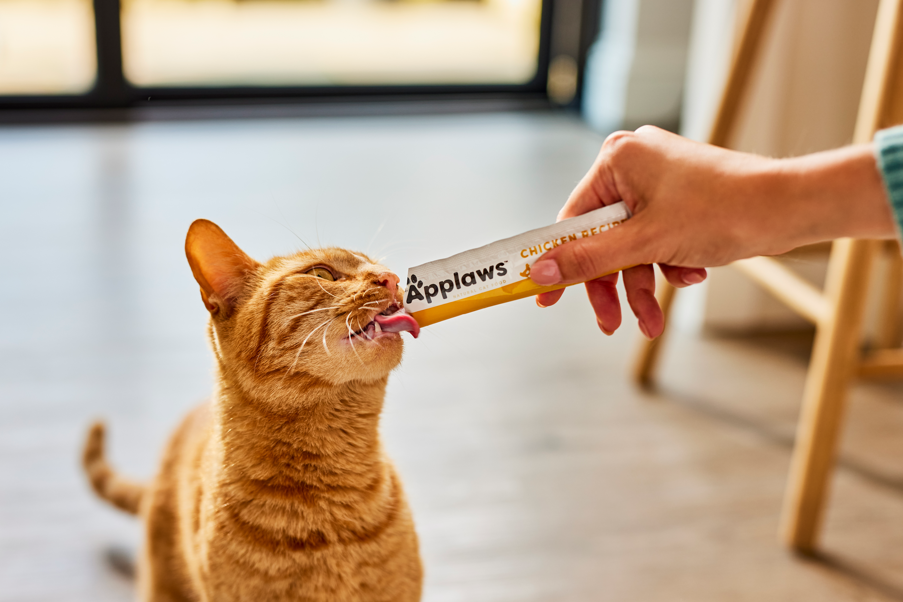 Applaws Limited Ingredient Wet Cat Food Catster Review 2025