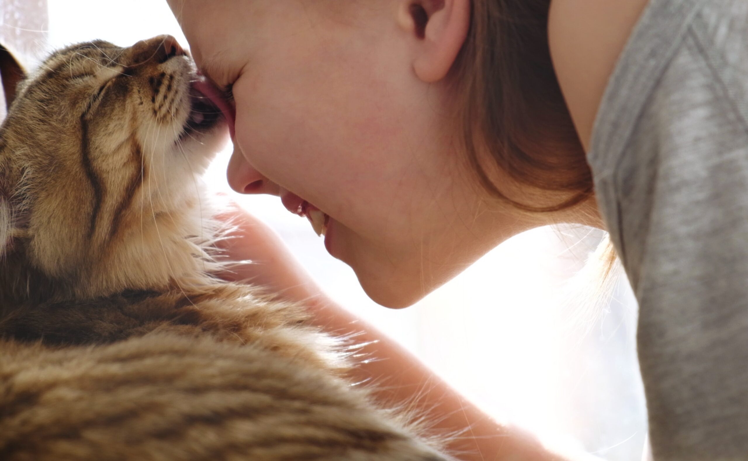Portrait,Of,Cute,Laughing,Girl,Alongside,Funny,Kitten,,Face,To
