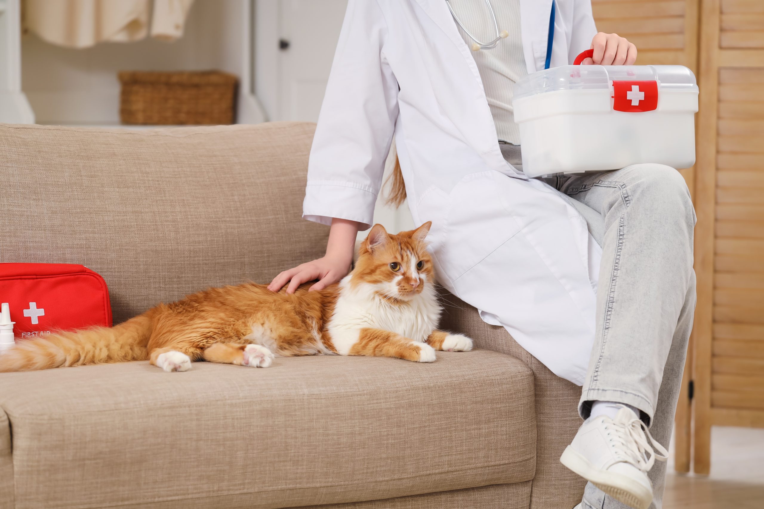 Teenage,Girl,Dressed,As,Doctor,With,First,Aid,Kit,And