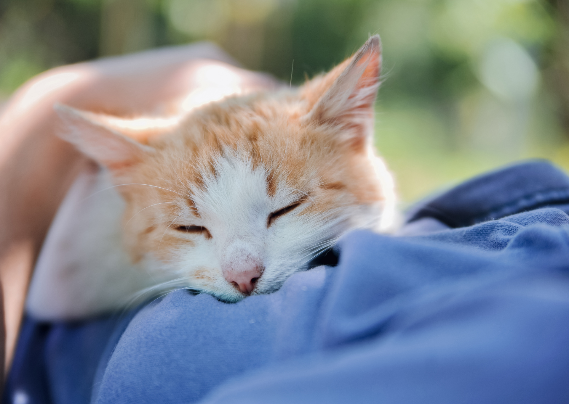 Sleeping-on-chest-blog-post